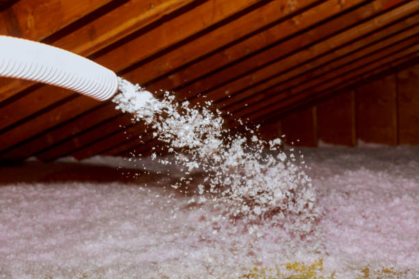 Insulation Replacement Services